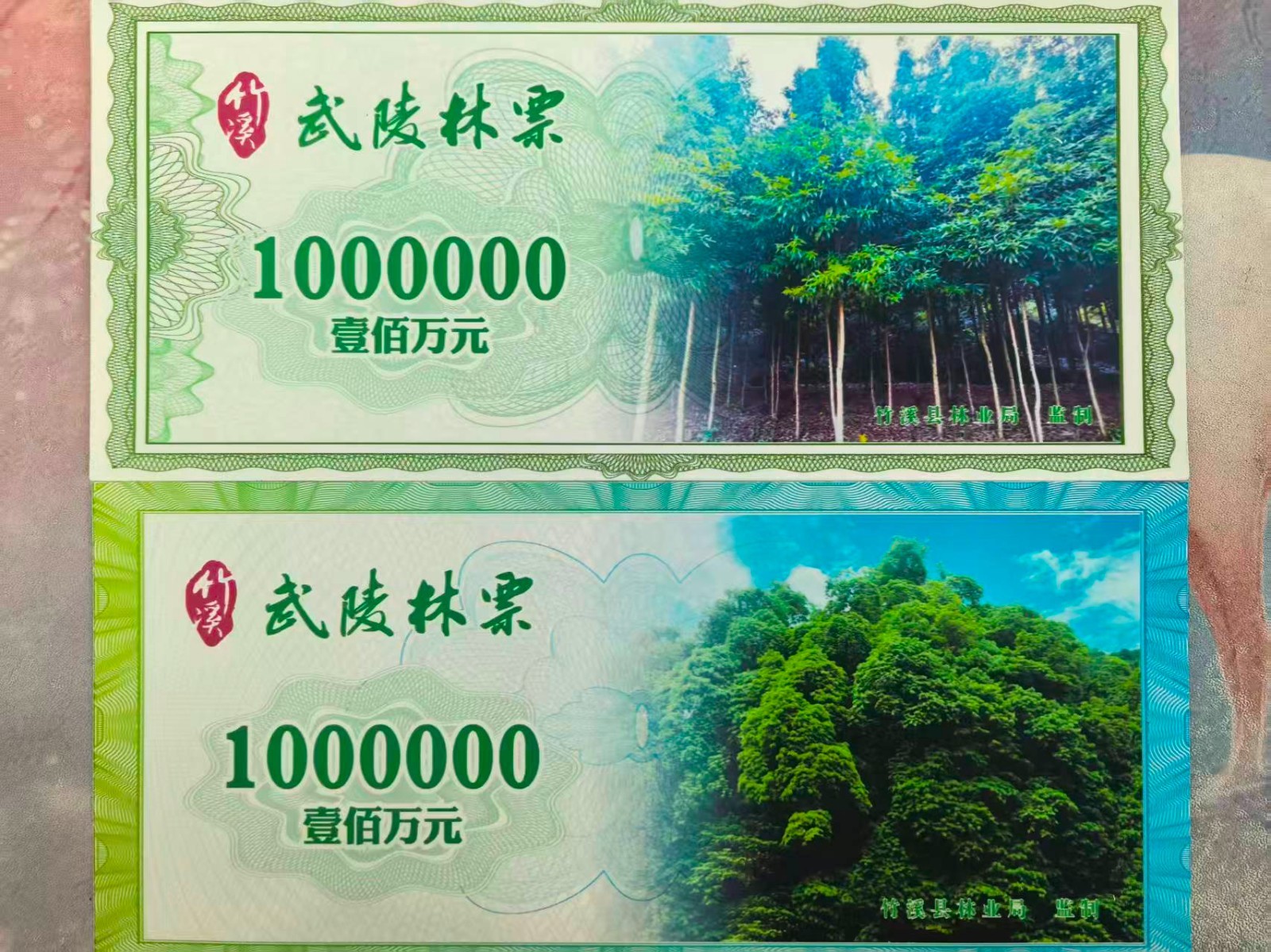 全省首单林票在竹溪签发 111.6亩珍稀楠木林“变现”200万元_北京时间