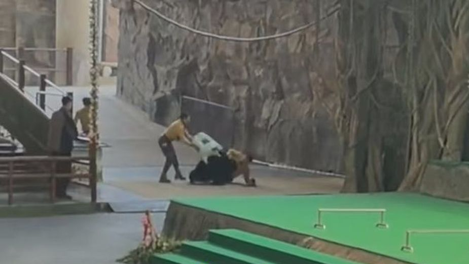 杭州市富阳区对杭州野生动物园“黑熊事件”作出处理：黑熊表演永久性停止、驯养员停职转岗