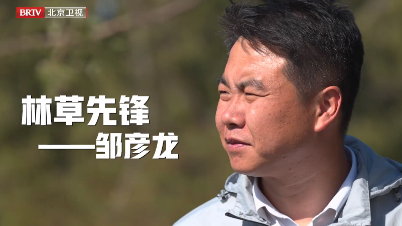 邹彦龙 | 林草先锋 邹彦龙 | 林草先锋