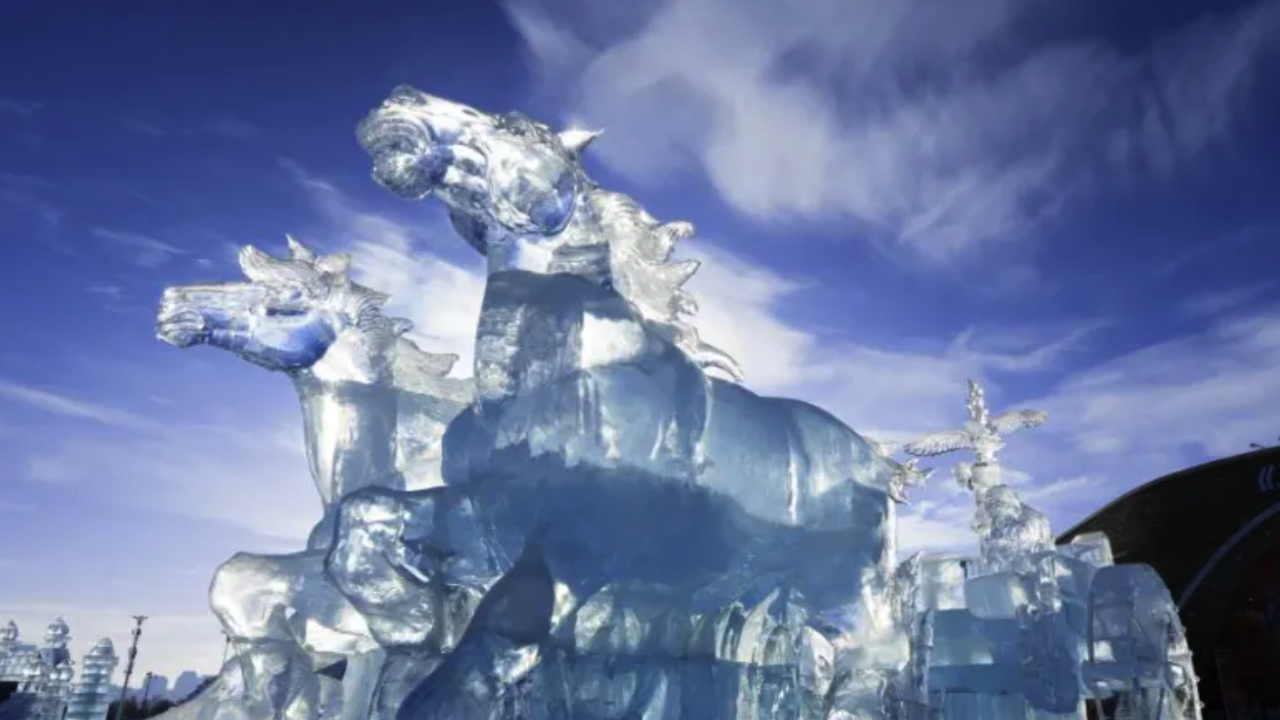 马到成功!哈尔滨冰雪大世界有马元素 马到成功!哈尔滨冰雪大世界有马元素