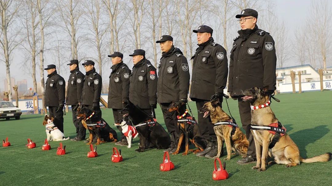 北京市公安局顺义分局|“汪汪队”过大年 北京市公安局顺义分局|“汪汪队”过大年