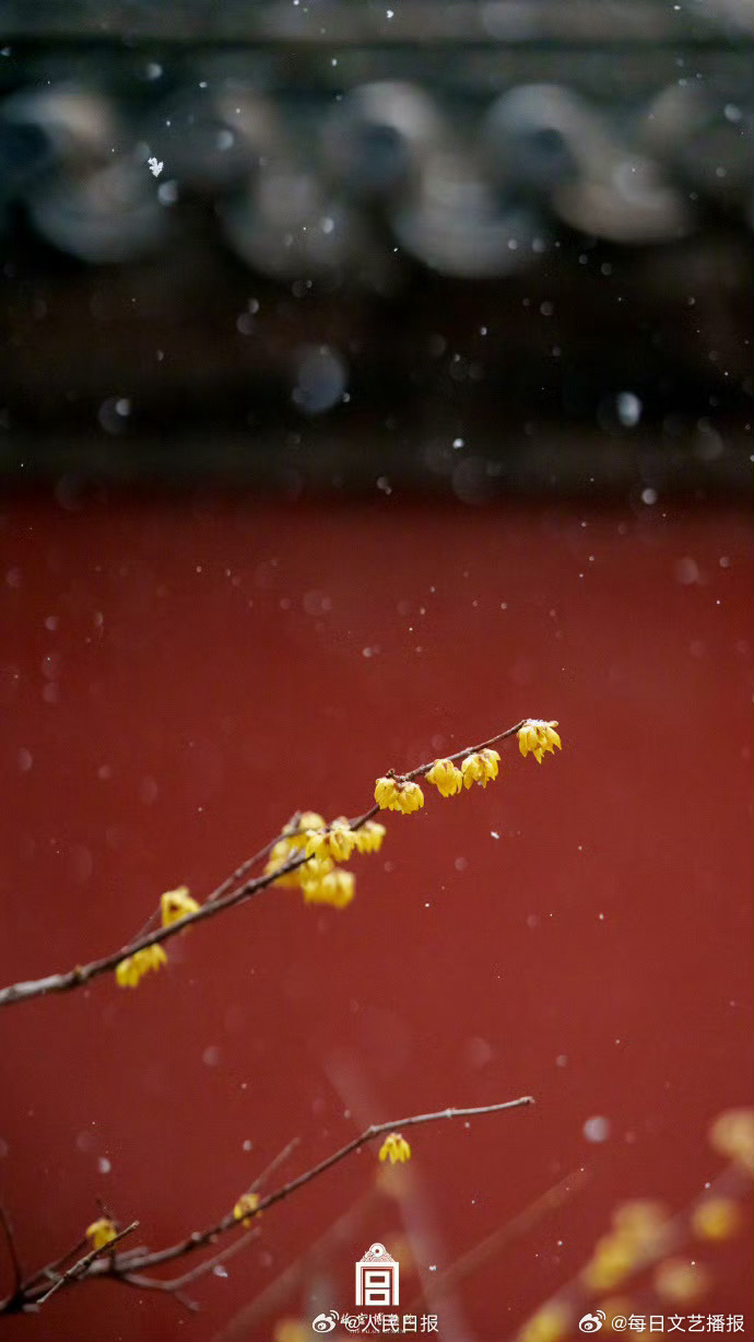 故宫雪景壁纸上新 故宫雪景壁纸上新