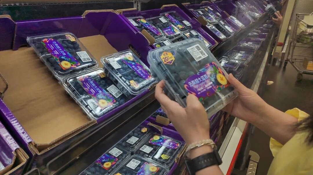 “贵族水果”价格大跳水! “贵族水果”价格大跳水!