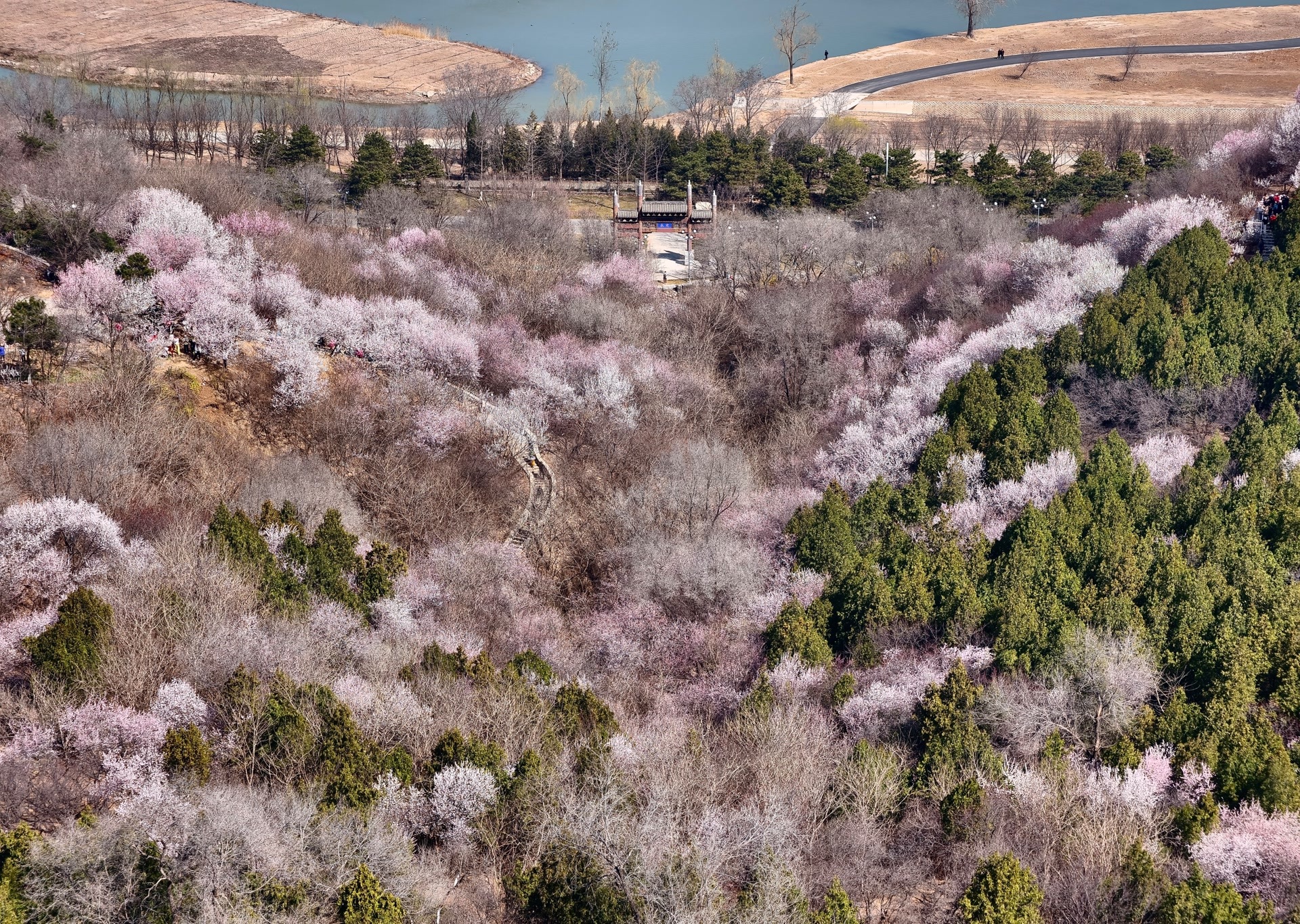 预约登永定塔可俯瞰桃花谷！园博园国潮嘉年华周六启动