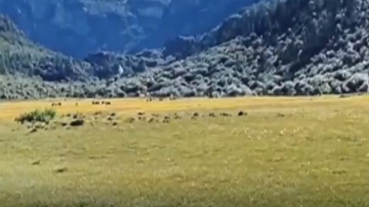 甘孜州发布终身门票政策，评论：从“一次入园”到“一生体验”