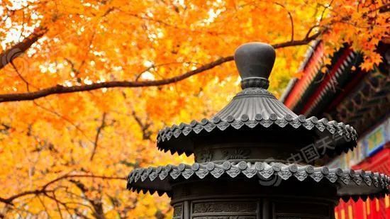 全国重阳节登高指数地图出炉 别错过这秋季十大最美“至高点”