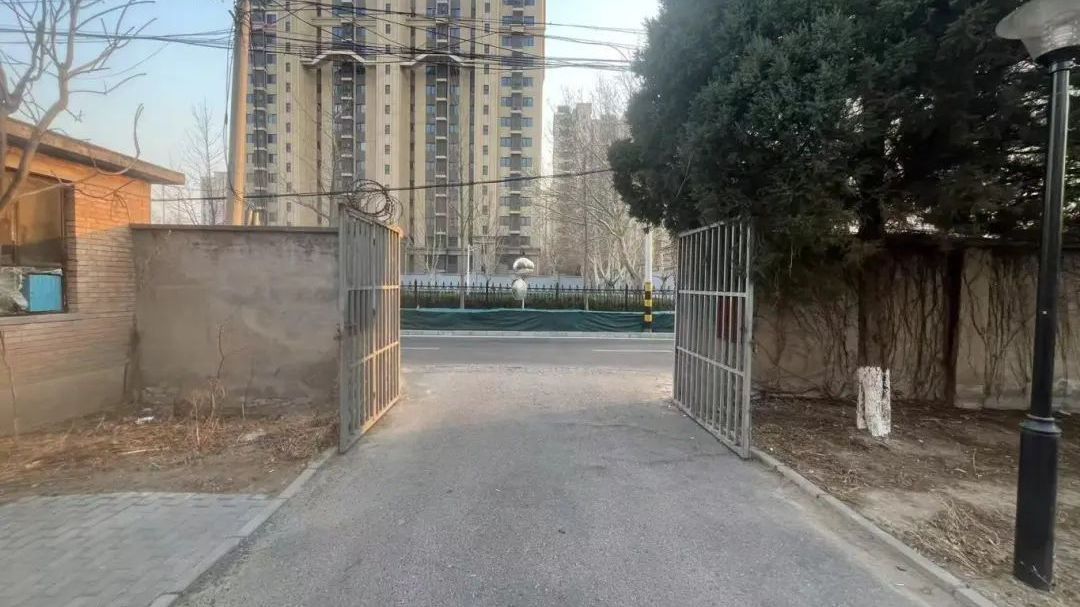 问需于民办实事 | 细处“解”民忧 点滴见“温情”