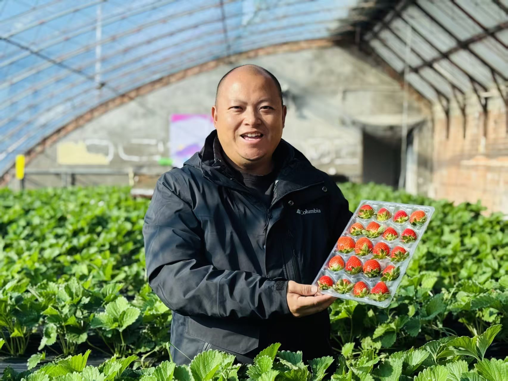 市集+小火车，采摘有福利！昌平草莓游，今冬玩法多