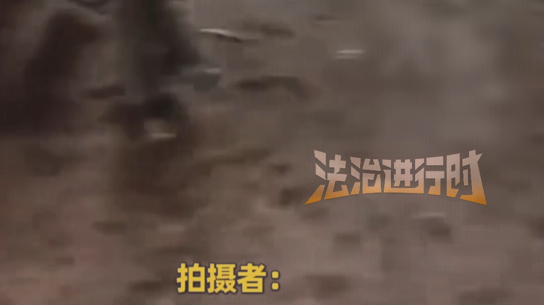 60多万的回迁房不住人却养鸡
