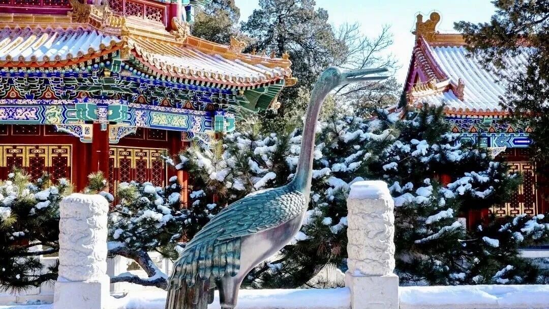 钟鼓齐鸣，京彩启程！2026北京元旦超全活动指南来了~