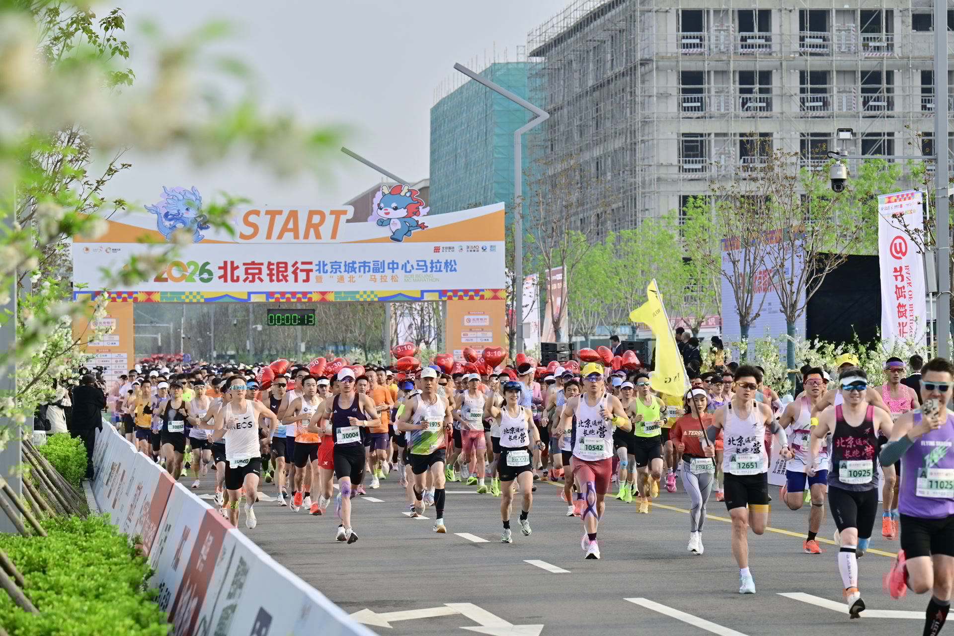 1.2万人跨省开跑！城市副中心马拉松赛道首次延伸至河北