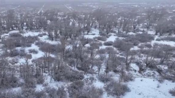 元旦前后将有大风降温天气，雨雪范围影响较广