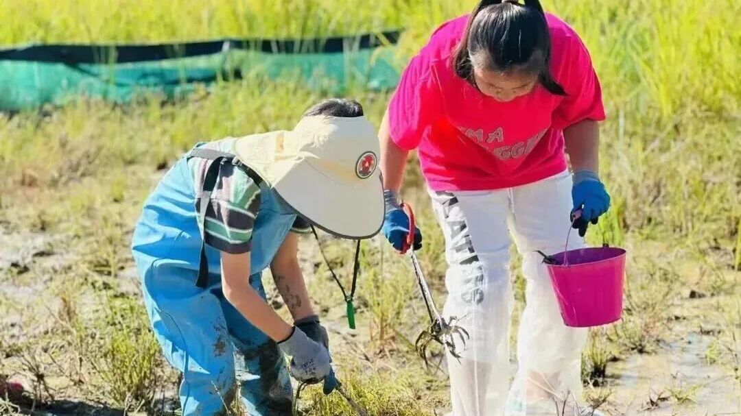 国庆假期,房山这些景区免费游! 国庆假期,房山这些景区免费游!