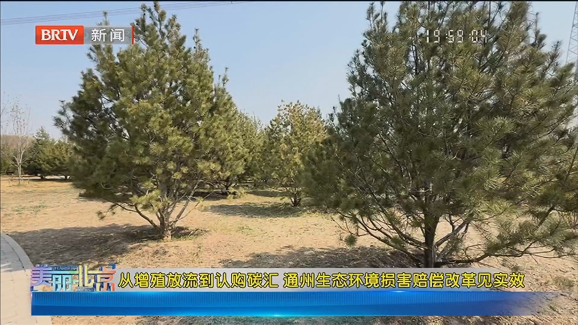 《美丽北京》20260514从增殖放流到认购碳汇 通州生态环境损害赔偿改革见实效 《美丽北京》20260514从增殖放流到认购碳汇 通州生态环境损害赔偿改革见实效