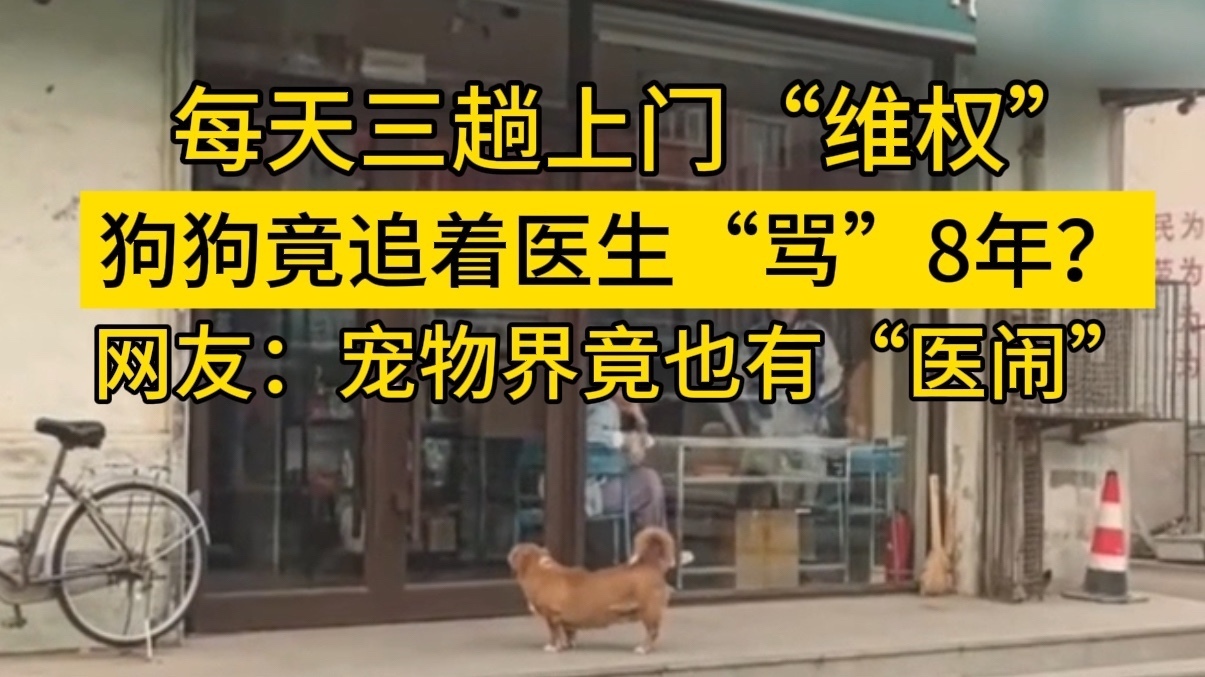 狗狗竟追着医生“骂”8年 每天三趟上门“维权” 狗狗竟追着医生“骂”8年 每天三趟上门“维权”