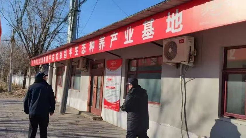 崔村镇积极应对大风天气 及时排查安全隐患