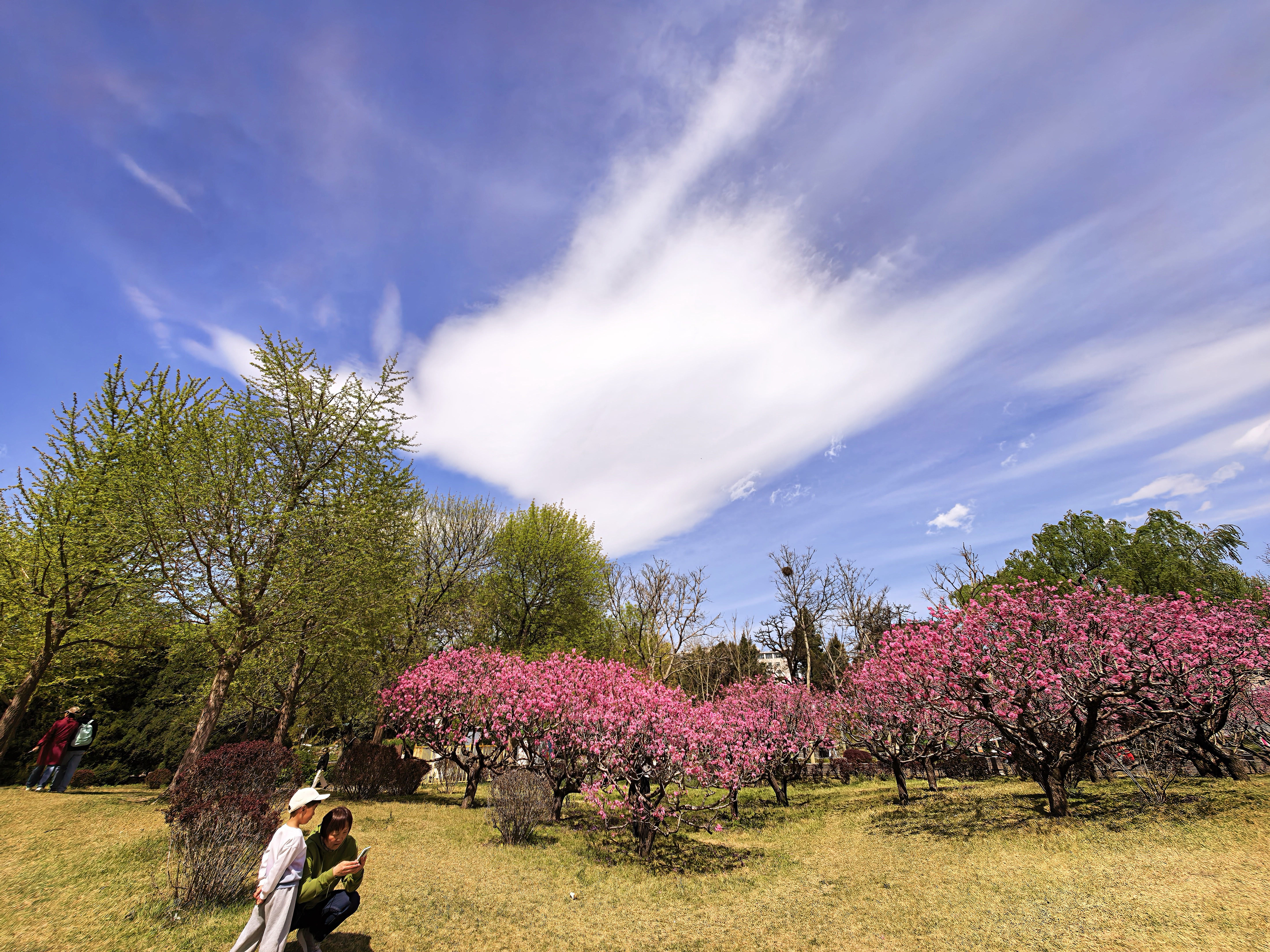 调皮的大风将白云当作橡皮泥捏来捏去，快看捏出了啥？
