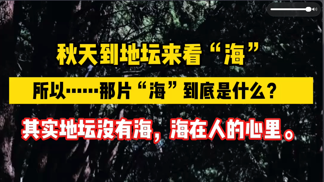 秋天到地坛来看“海”