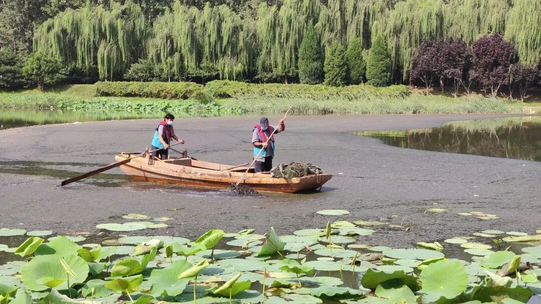 北京房山：雨后河水变浑浊？一文解惑→