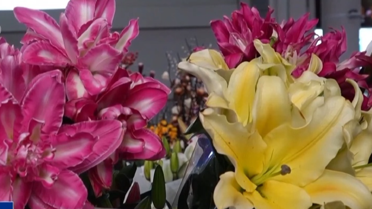 过敏人士如何安全选购年宵花？专家支招