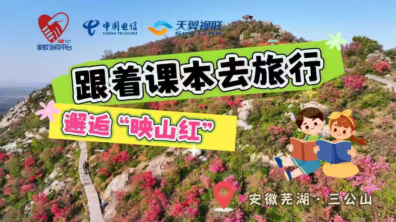 慢直播｜邂逅叶圣陶笔下的“映山红”