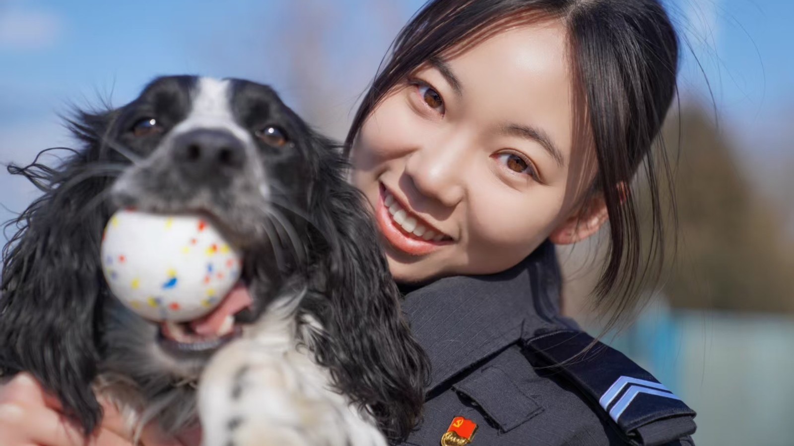 毒贩的“小克星”！北京警花和她的史宾格搜毒、搜爆犬