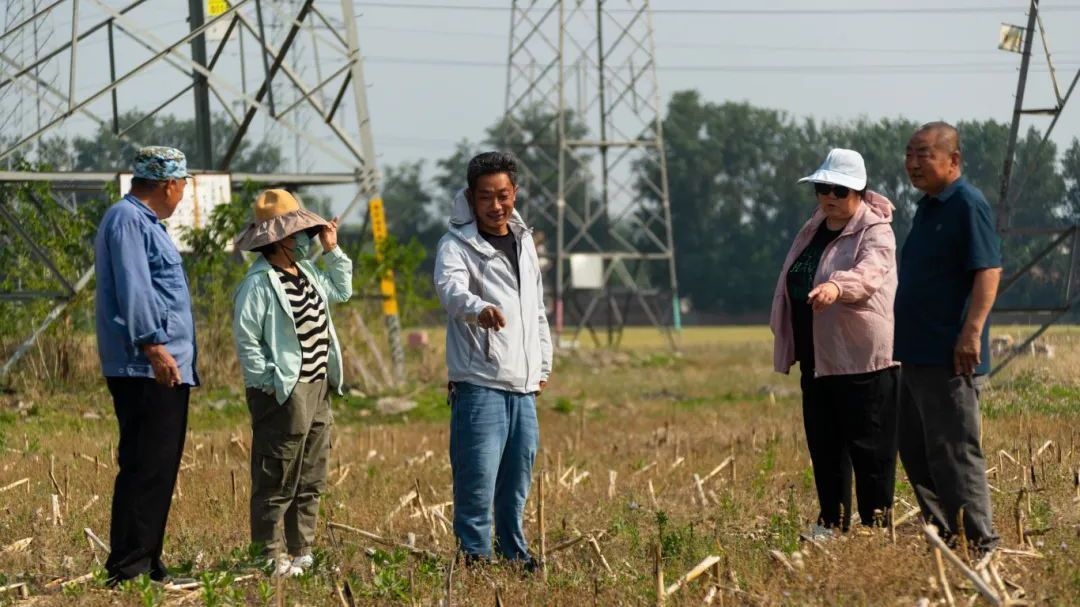 北京房山:“从田间到车间”,一纸订单开启农业产业化新目标 北京房山:“从田间到车间”,一纸订单开启农业产业化新目标