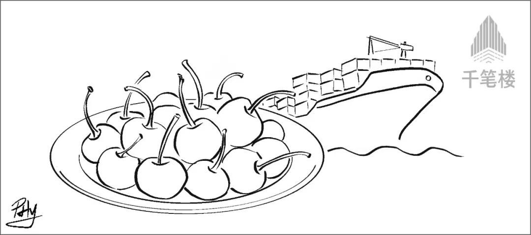 吃掉九成智利出口车厘子，这就是“中国肚量”！