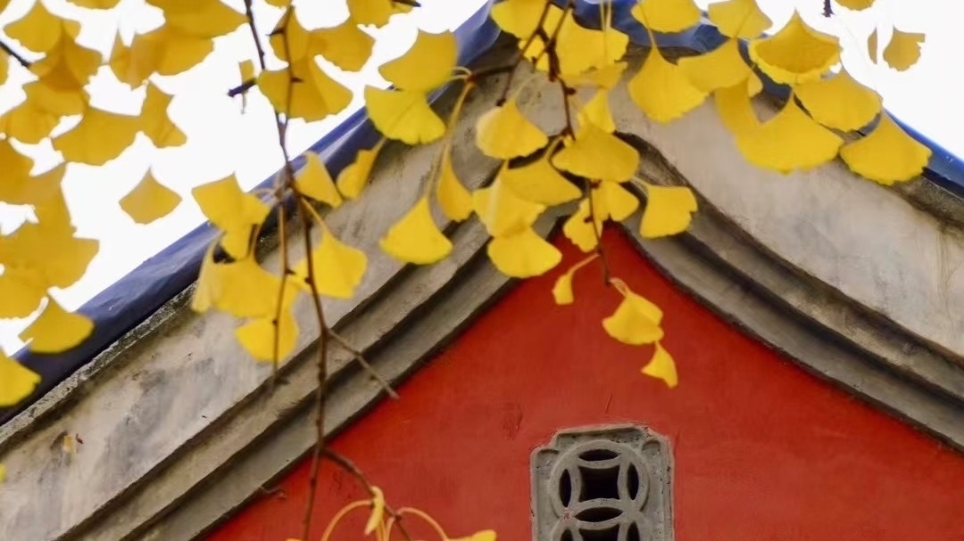 寒潮蓝色预警中 今日最低气温零下1度！户外做好防寒保暖