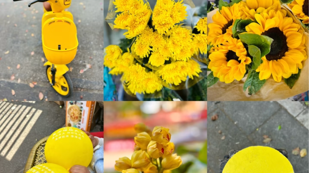 “不到500元买下春天”！年轻人开始Color Walk了