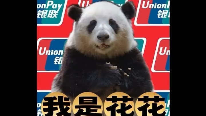 #花花担任银联全球支付大使#萌力营业！