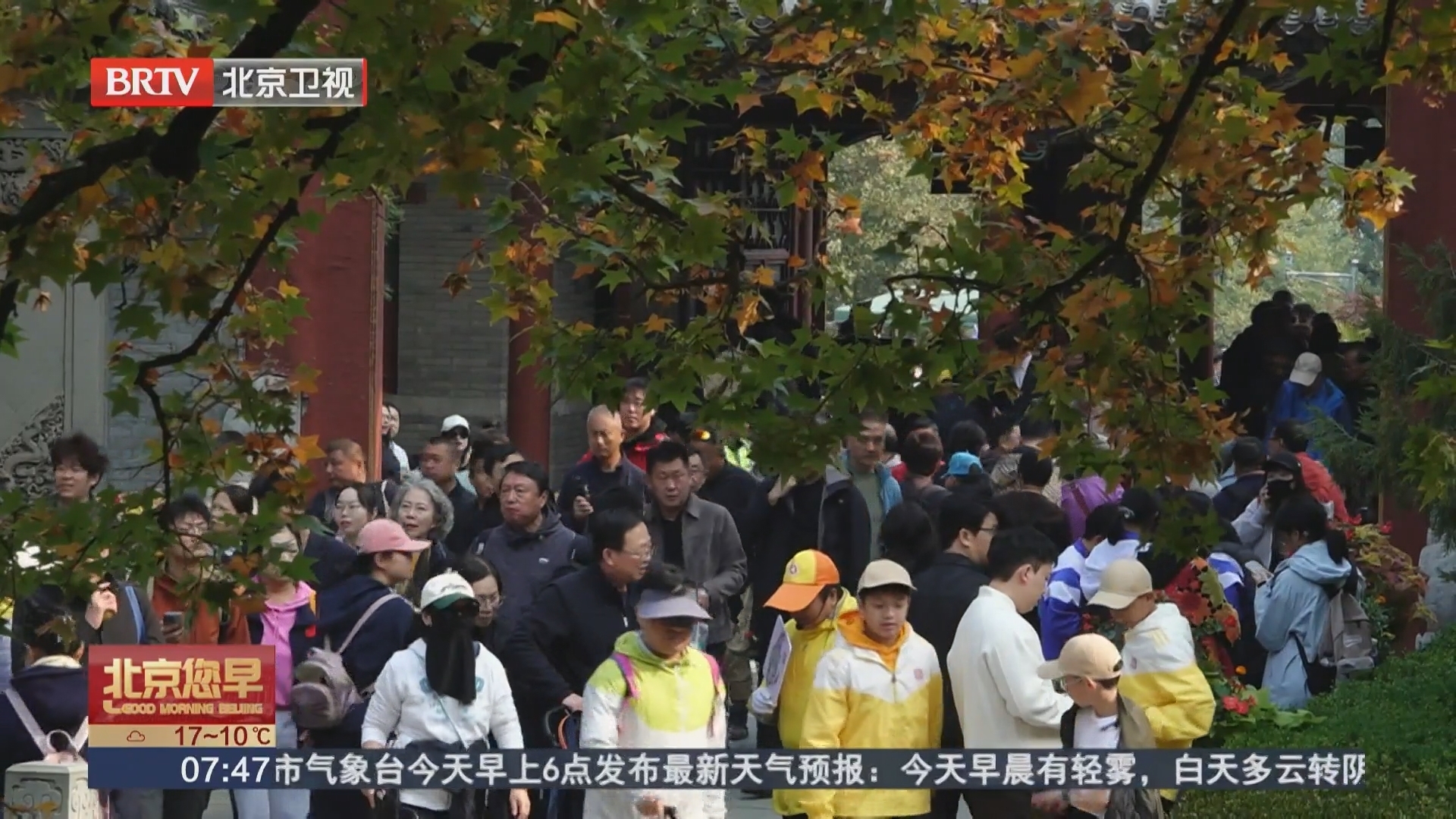 北京彩叶陆续迎来最佳观赏时段