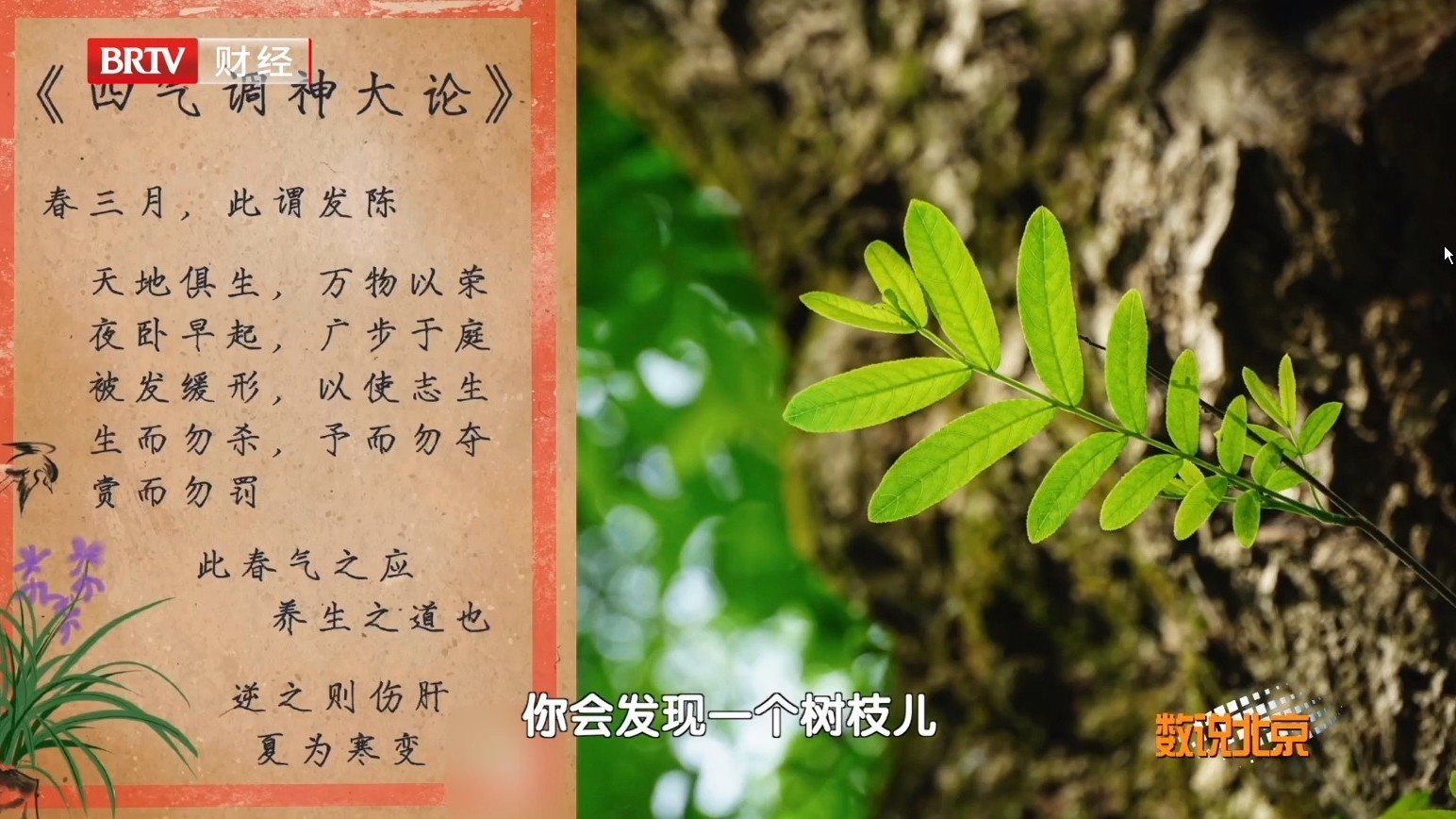 中医的理念是天人合一