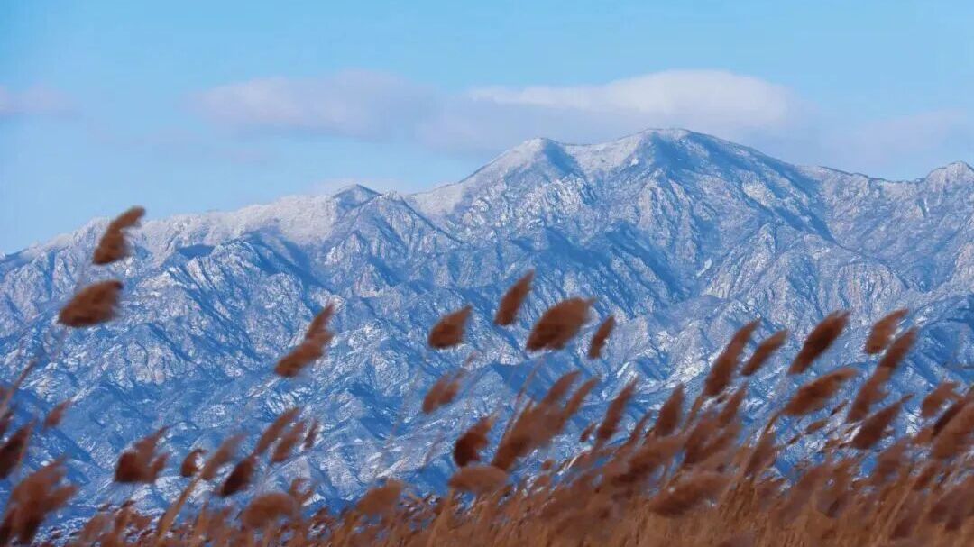 来打卡呀！野鸭湖的冬日浪漫藏不住了~
