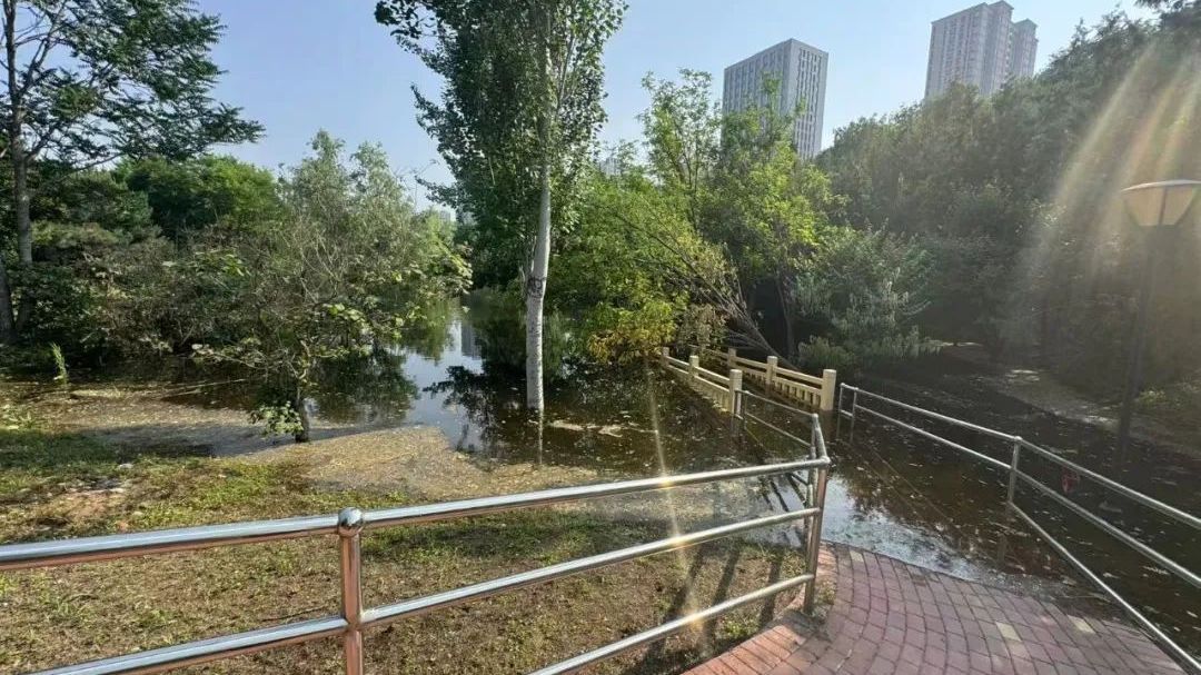 门头沟一公园被水淹了?请注意:千万别趟水,小心水蛇、水蛭…… 门头沟一公园被水淹了?请注意:千万别趟水,小心水蛇、水蛭……