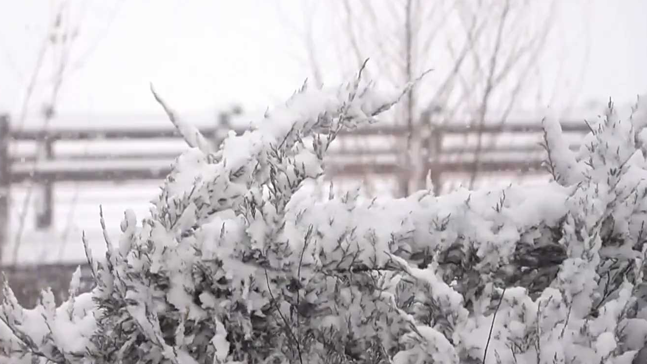 多地迎返程高峰 全力应对天气变化