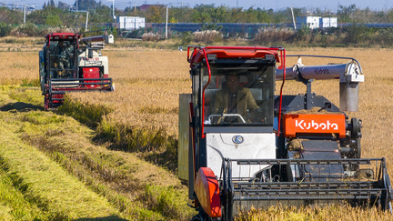 加快农业农村现代化步伐