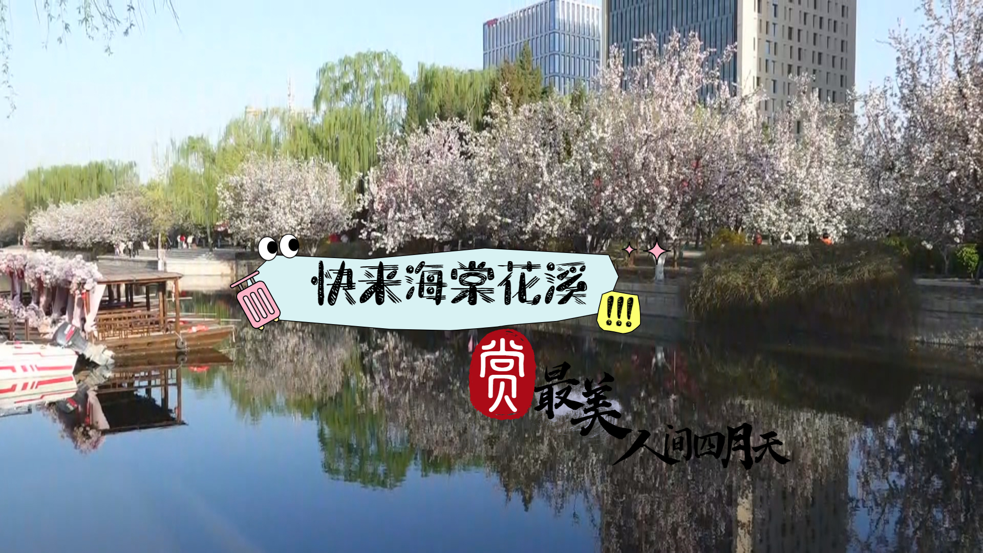 春日限定美景“海棠花溪”进入最佳观赏期 错过就要在等一年