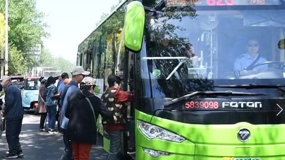 来打卡吧！这条公交线路可赏牡丹花海