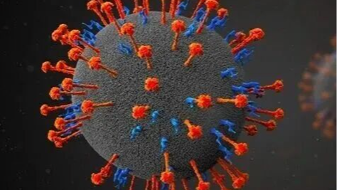 印度出现尼帕病毒疫情!病死率高,如何传播?普通人需要注意什么? 印度出现尼帕病毒疫情!病死率高,如何传播?普通人需要注意什么?