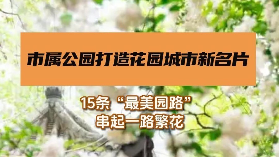 市属公园打造花园城市新名片