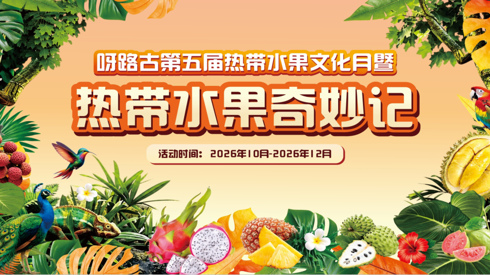 精彩不停歇!北京这些活动持续至国庆节后—— 精彩不停歇!北京这些活动持续至国庆节后——