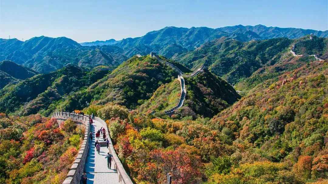 长城&红叶,感受“万山红遍” 出行攻略附后~ 长城&红叶,感受“万山红遍” 出行攻略附后~