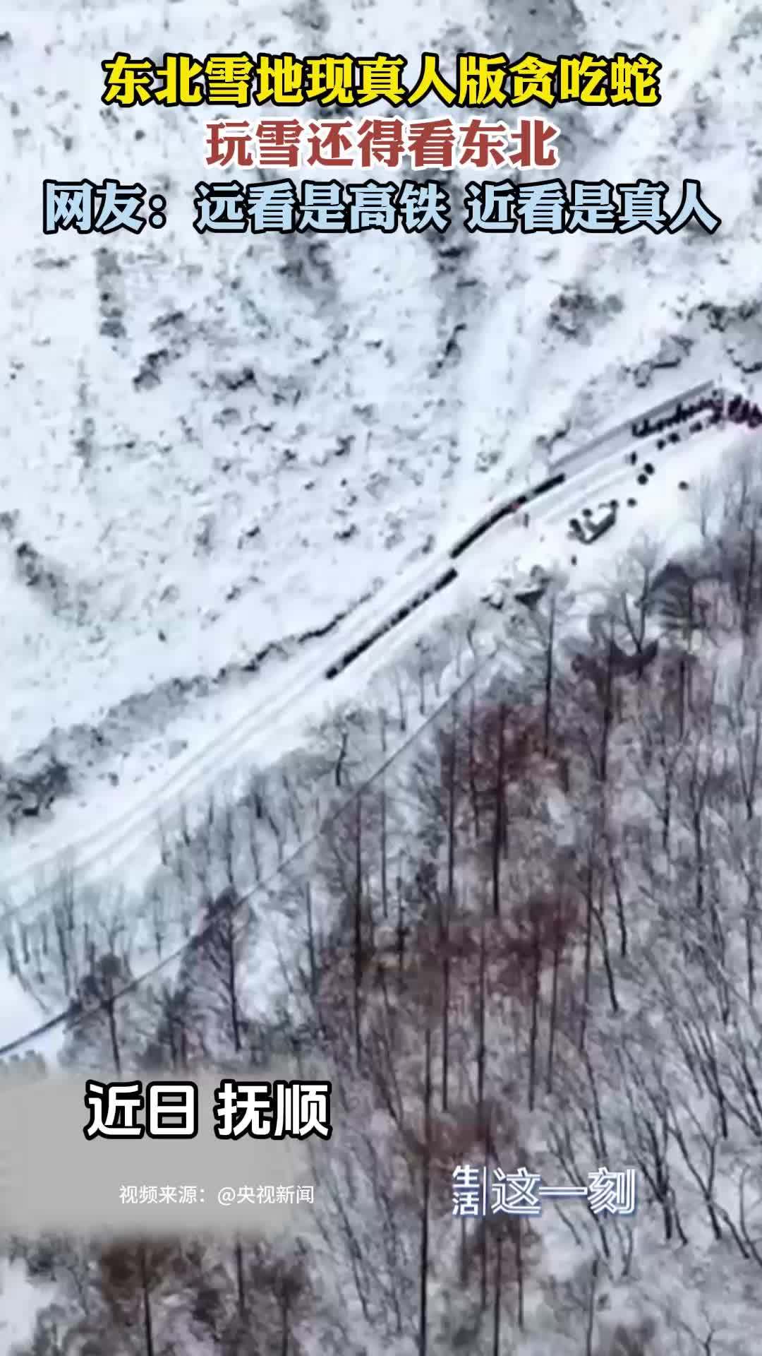 东北冰天雪地的快乐谁懂