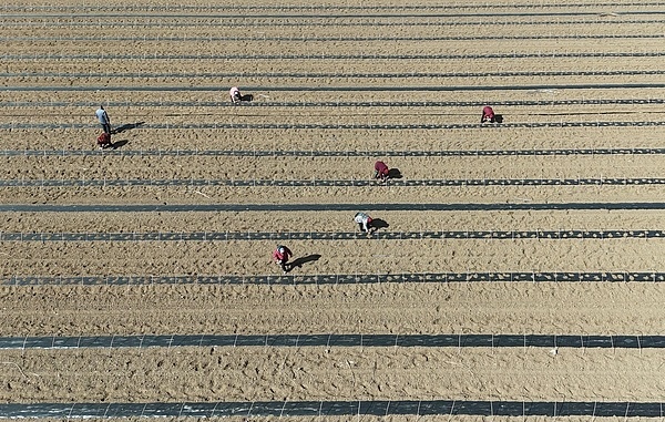 再延长30年!这个重磅文件让亿万人吃上“定心丸” 再延长30年!这个重磅文件让亿万人吃上“定心丸”