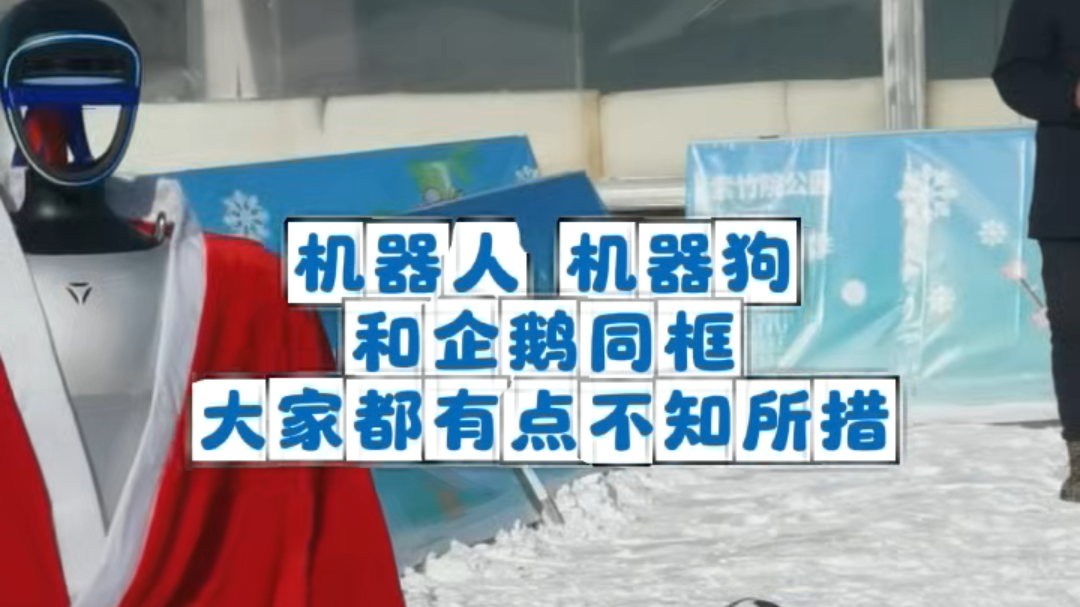 机器人、机器狗和企鹅同框,紫竹院冰雪季太会“整活”了 机器人、机器狗和企鹅同框,紫竹院冰雪季太会“整活”了