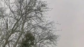 清明节假期 环卫部门全力保障 清明节假期 环卫部门全力保障