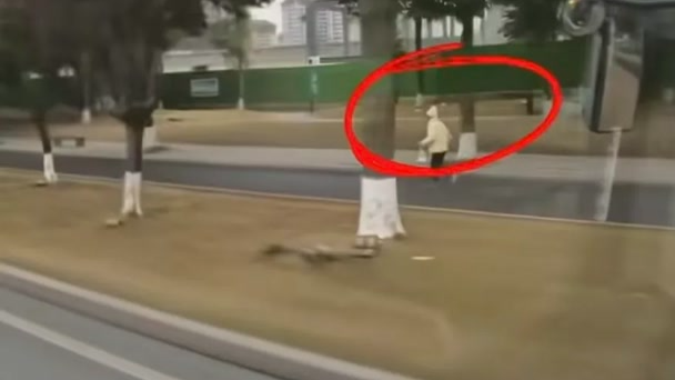 点到为止丨每个努力的人都该被温柔以待