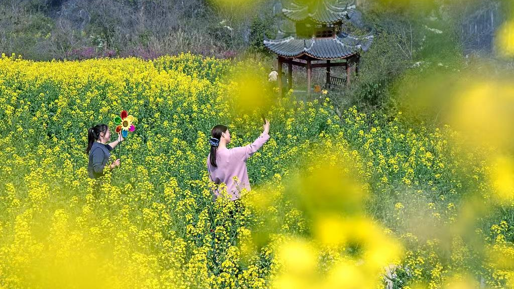 花粉过敏能否“放着不管”？婴幼儿症状如何分辨？专家解答→