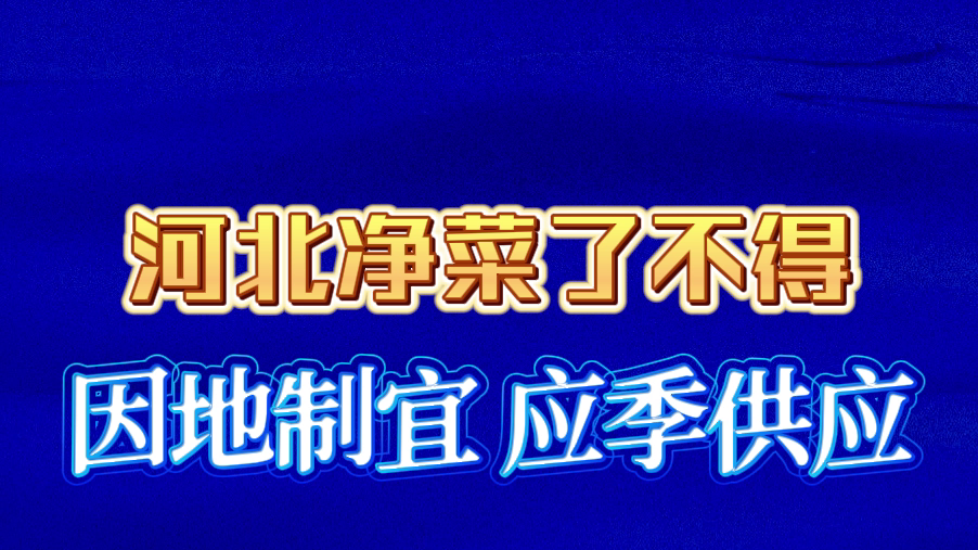 河北净菜 因地制宜 应季供应